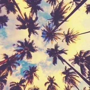 Meet your Posher, Brook